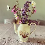 Stilbjerg Sleep&hygge *