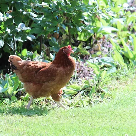 Stilbjerg Sleep&hygge アパート