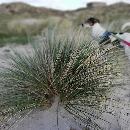 Stilbjerg Sleep&hygge Apartamento *