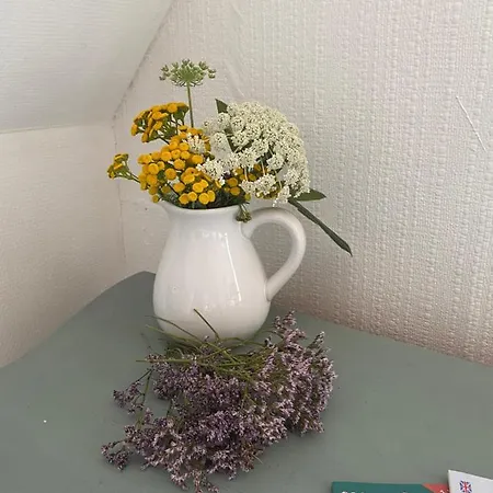 Stilbjerg Sleep&hygge Appartement