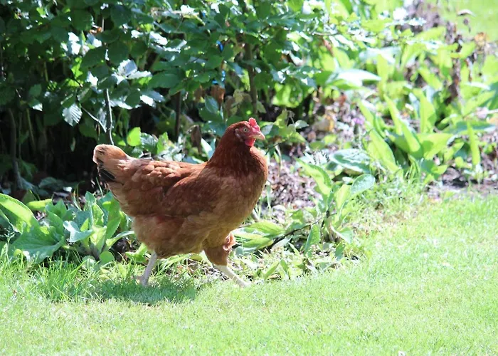 Stilbjerg Sleep&hygge דירה