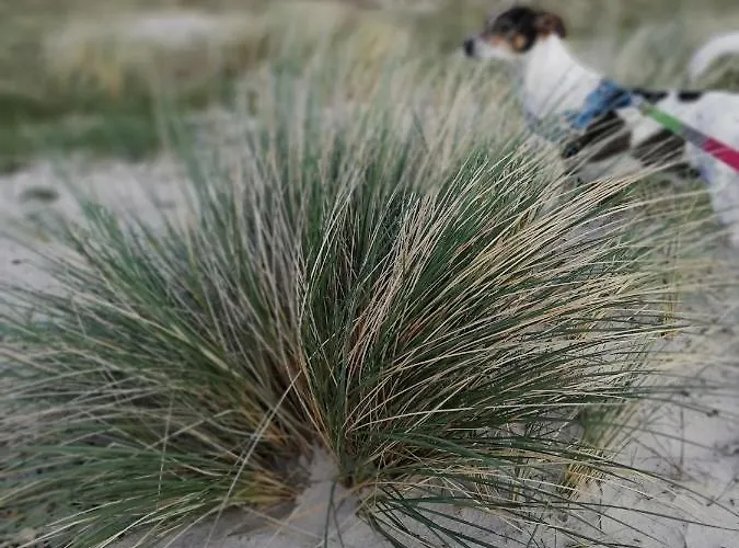 Stilbjerg Sleep&hygge דירה *