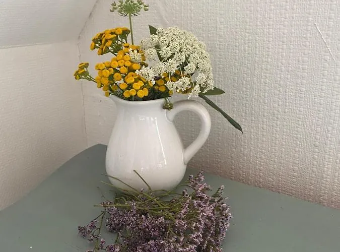 Stilbjerg Sleep&hygge דירה